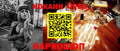 гашик Камышлов