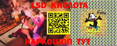 гашик Камышлов