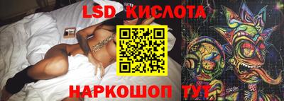 гашик Камышлов
