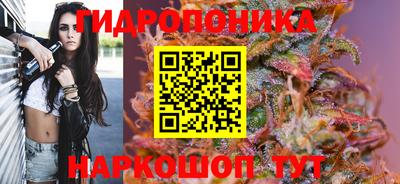 гашик Камышлов
