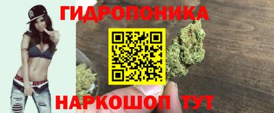 гашик Камышлов
