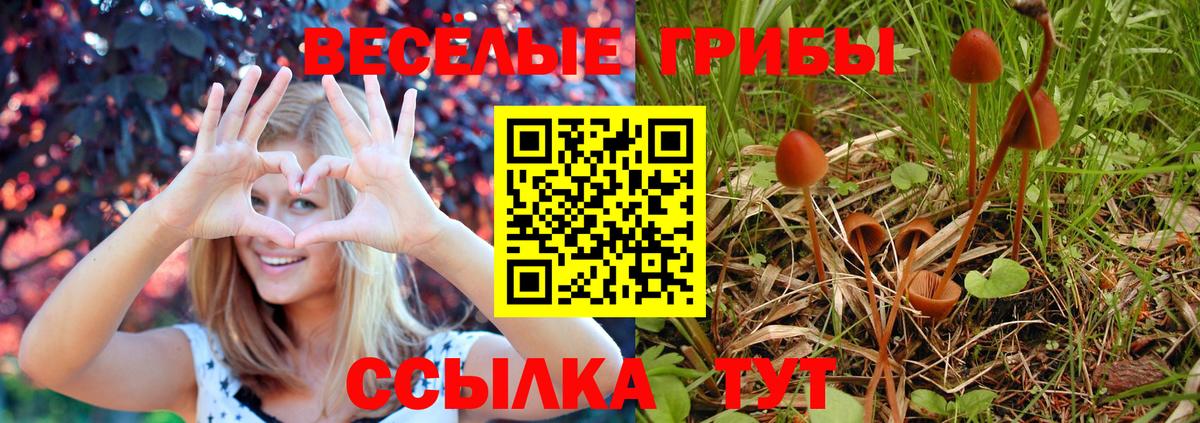 Галлюциногенные грибы GOLDEN TEACHER Красноярск